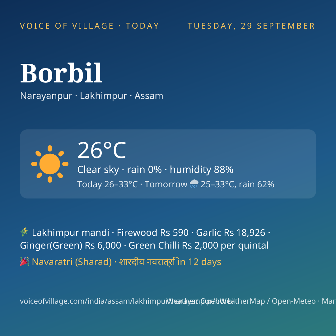 Borbil today