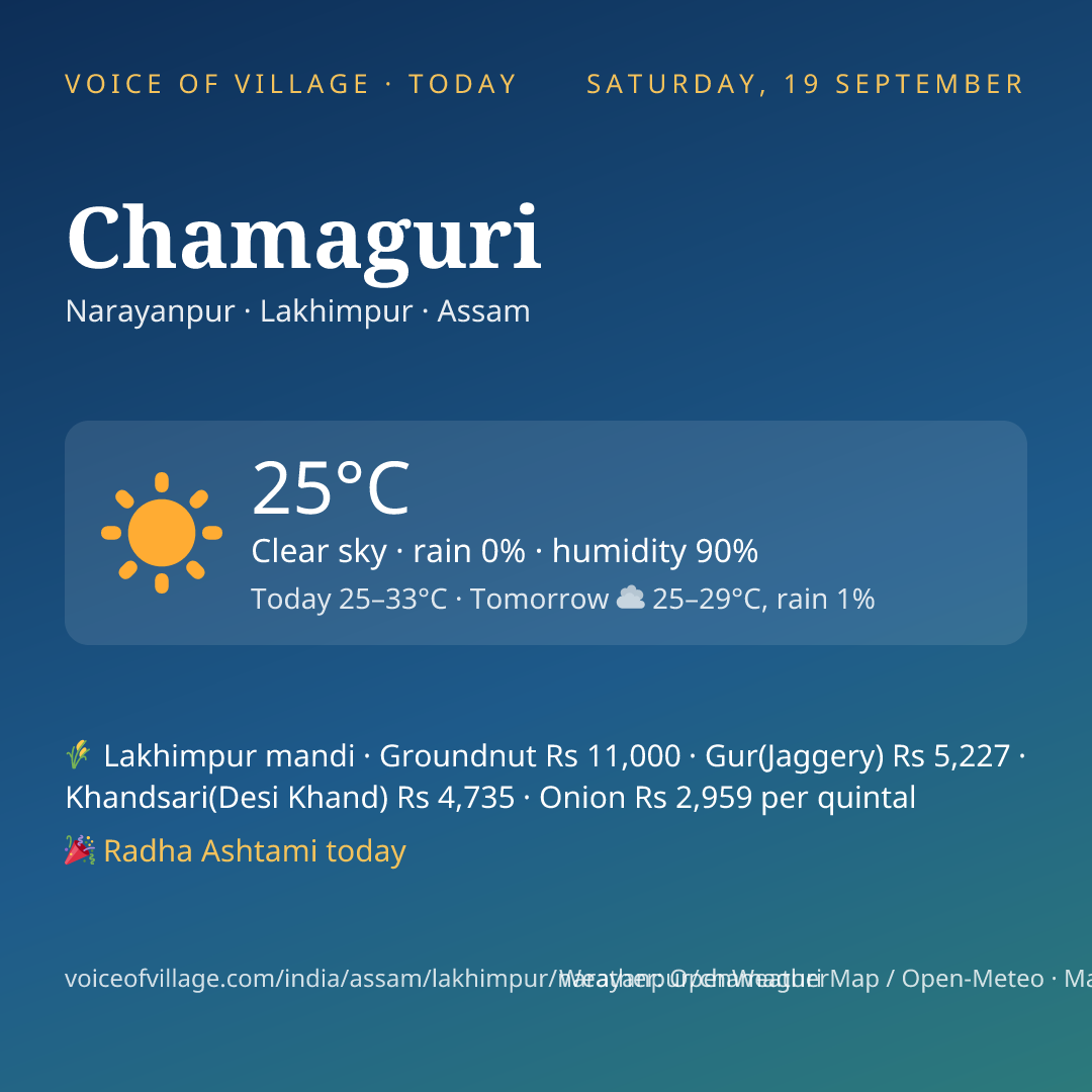Chamaguri today