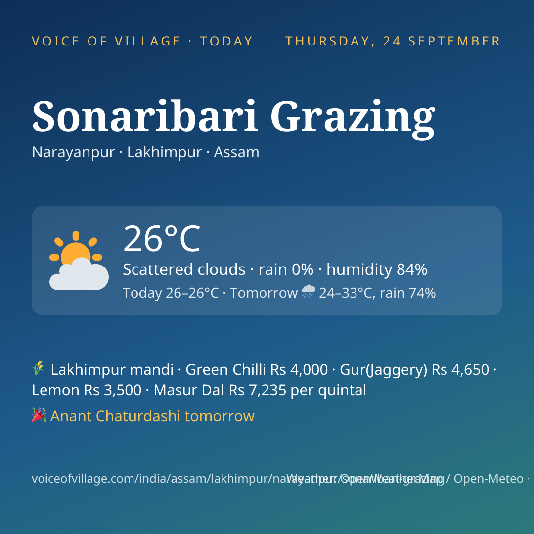 Sonaribari Grazing today