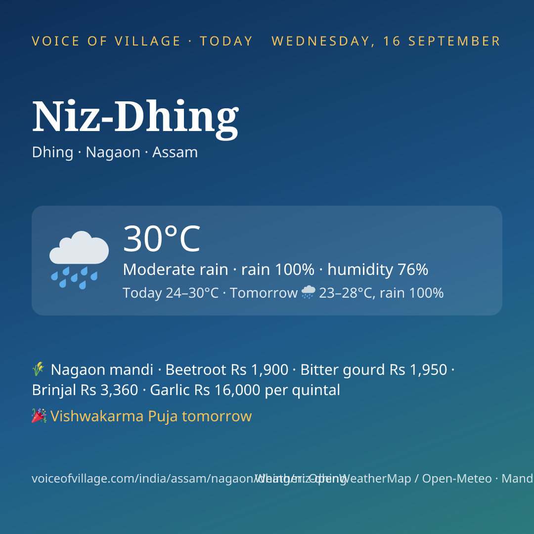 Niz-Dhing today