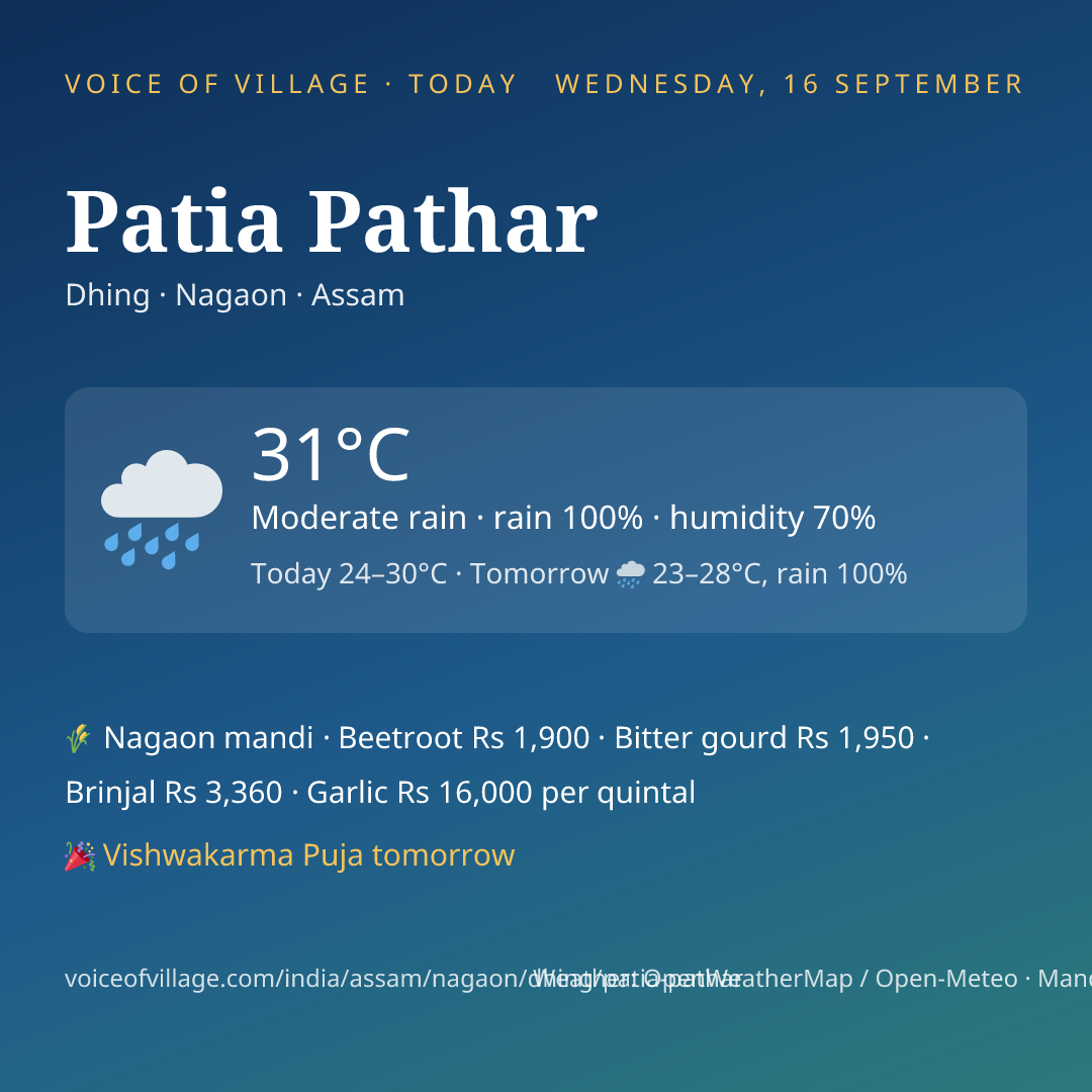 Patia Pathar today