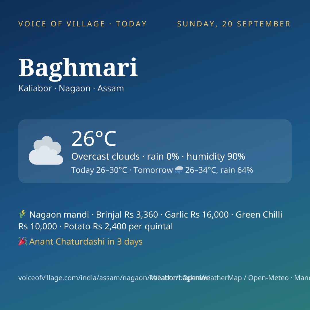Baghmari today