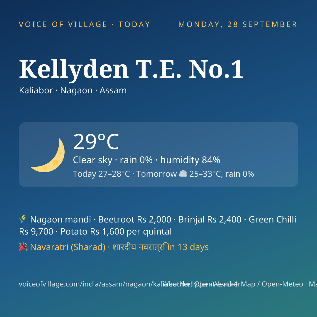 Kellyden T.E. No.1 today