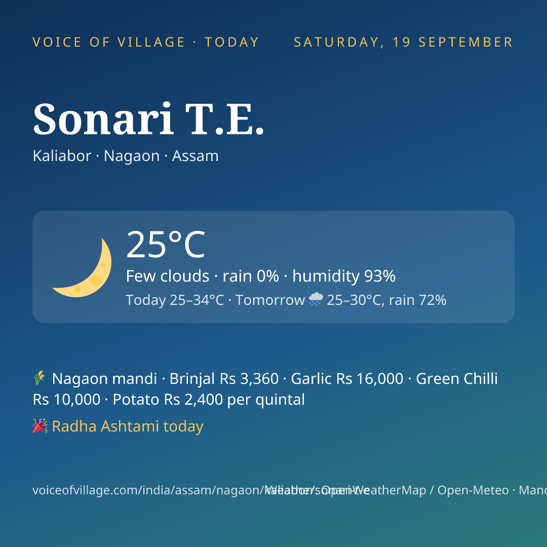 Sonari T.E. today
