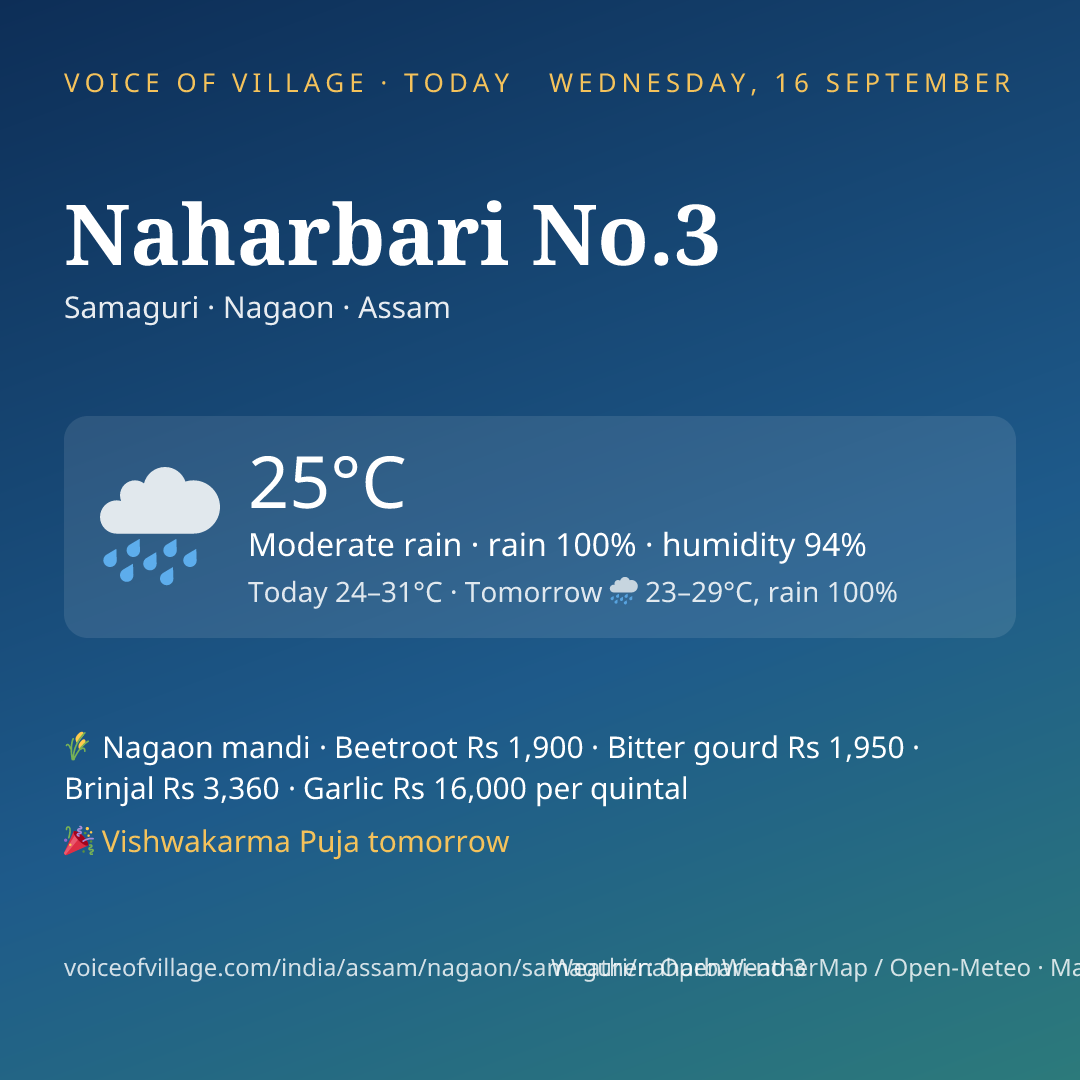 Naharbari No.3 today