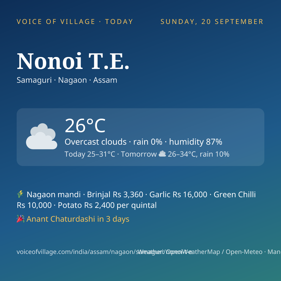 Nonoi T.E. today