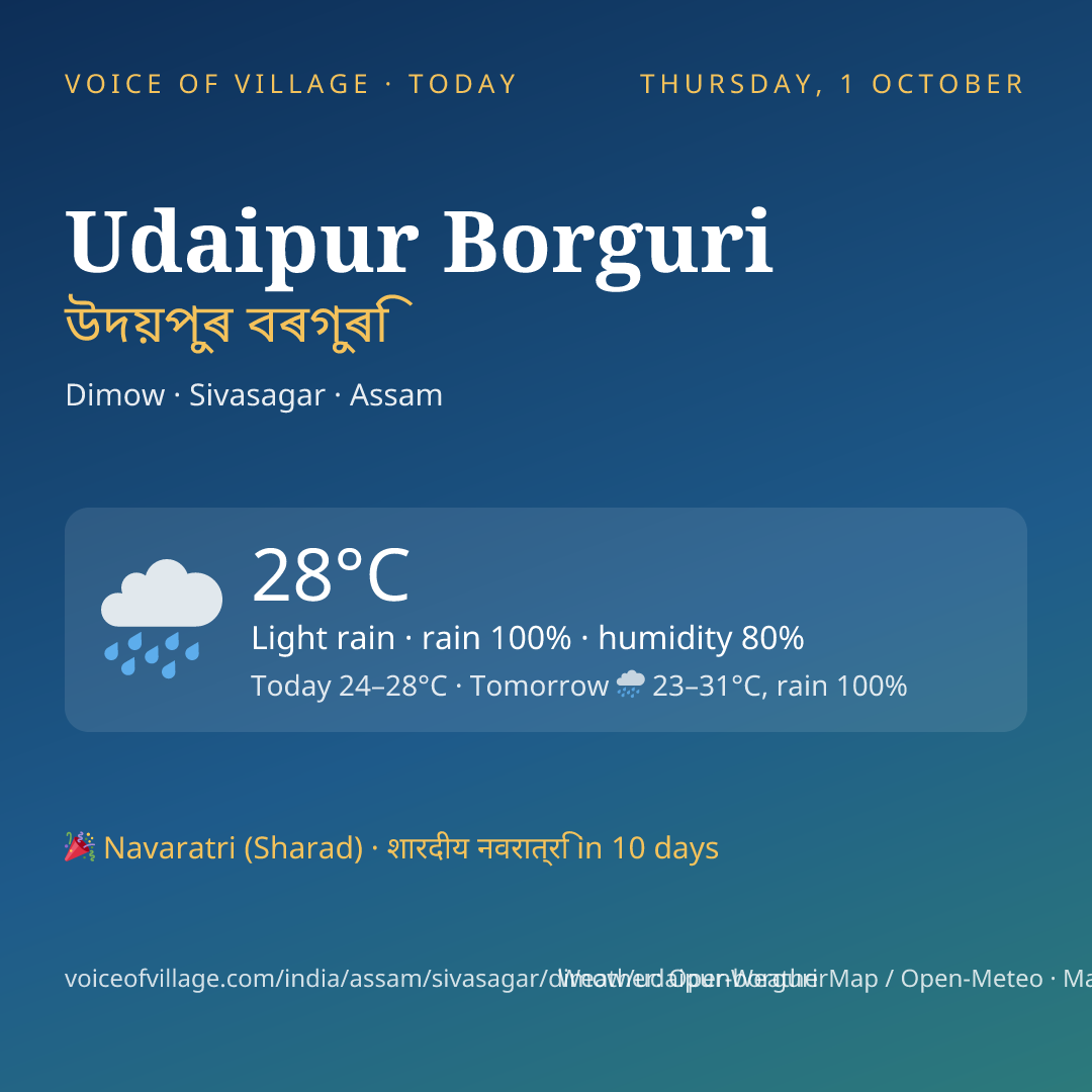Udaipur Borguri today
