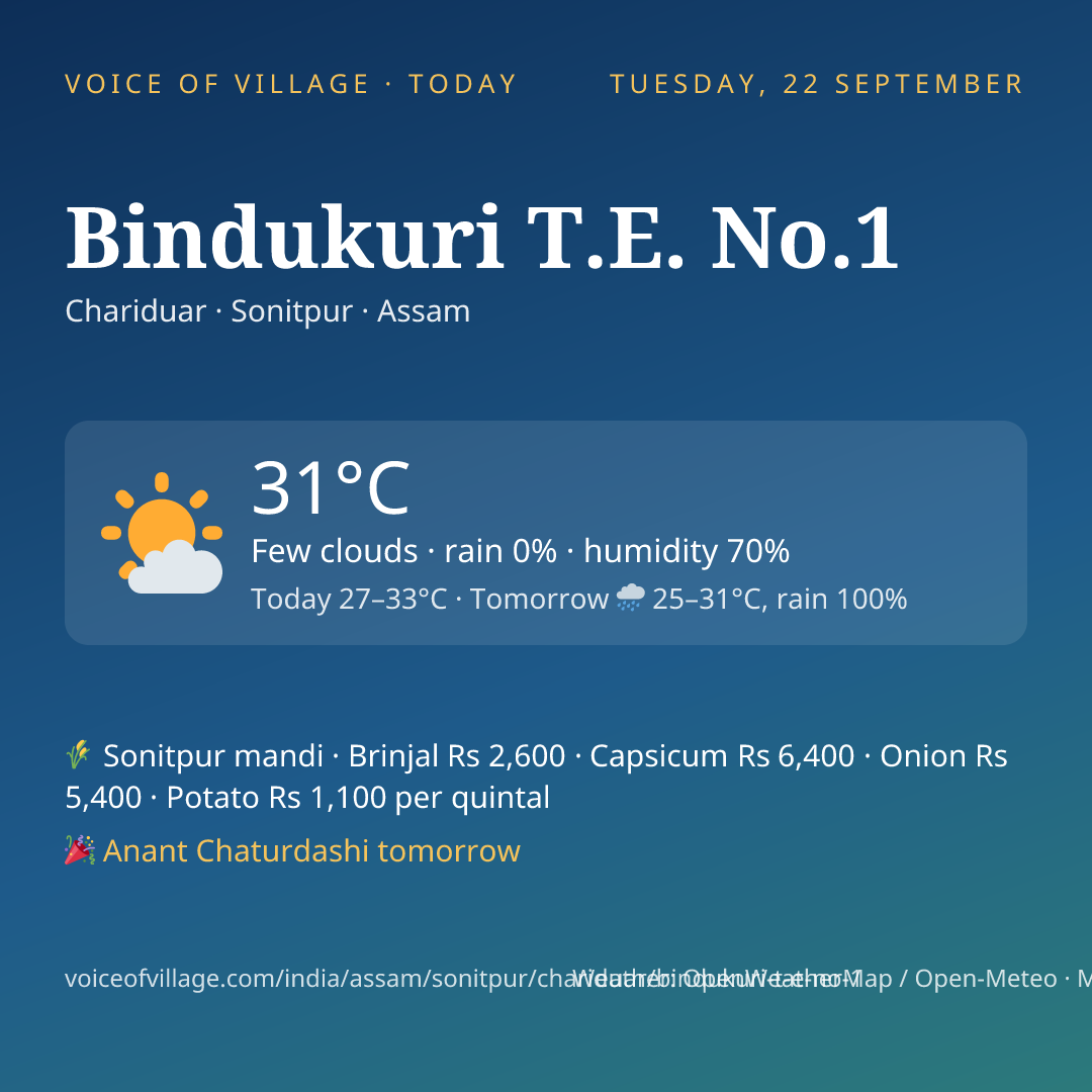 Bindukuri T.E. No.1 today