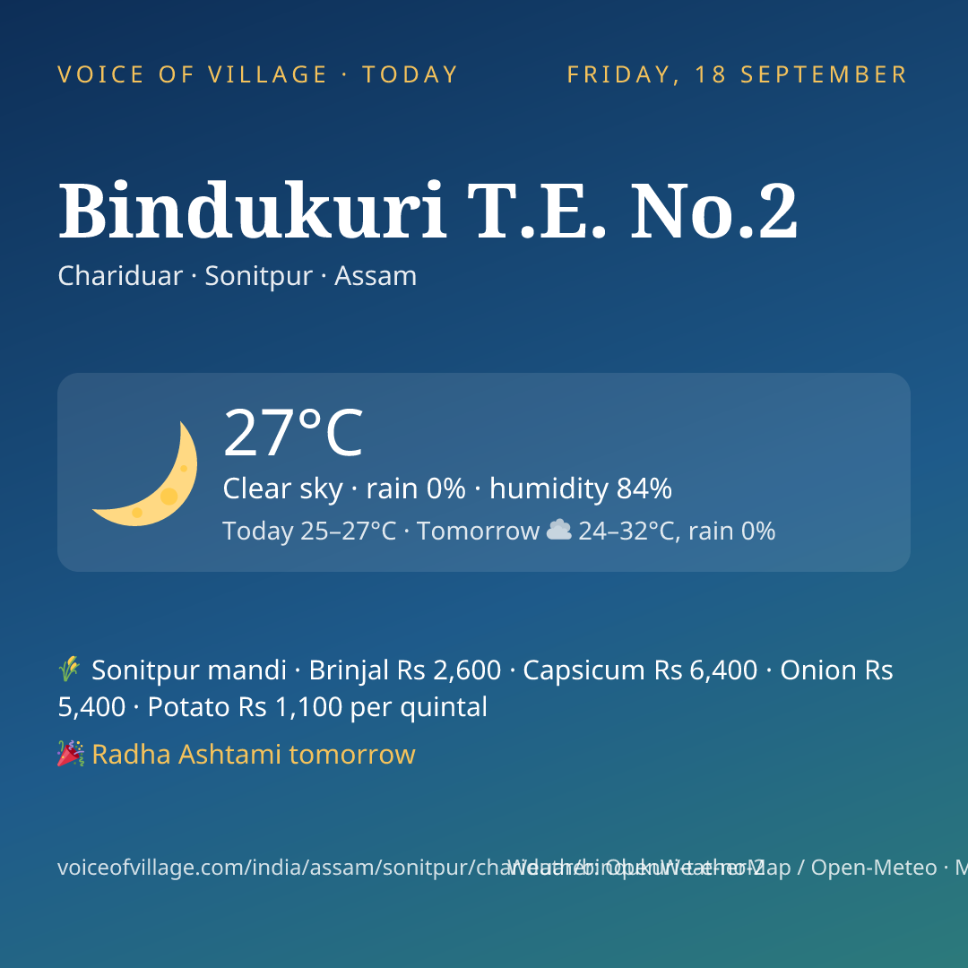 Bindukuri T.E. No.2 today