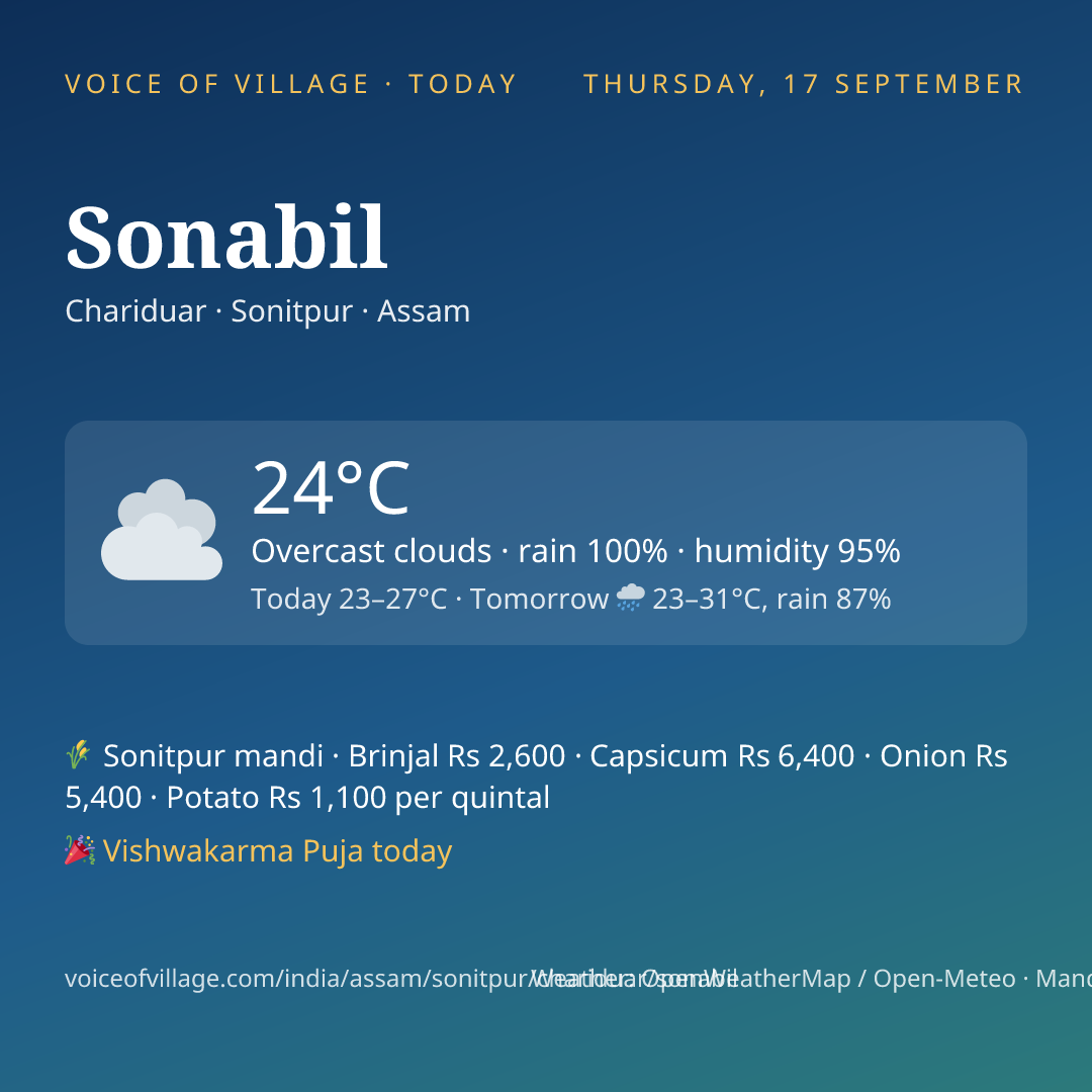 Sonabil today