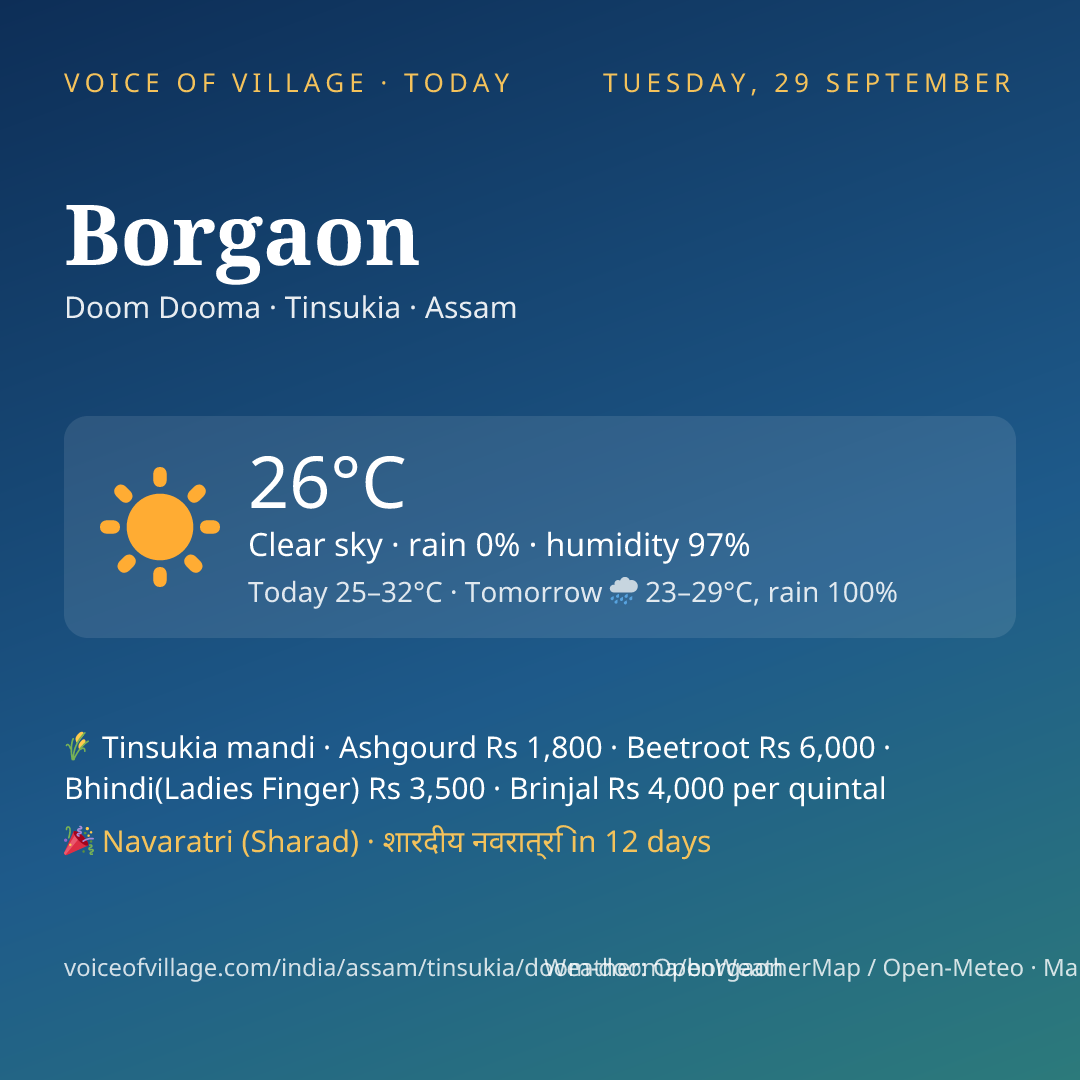 Borgaon today