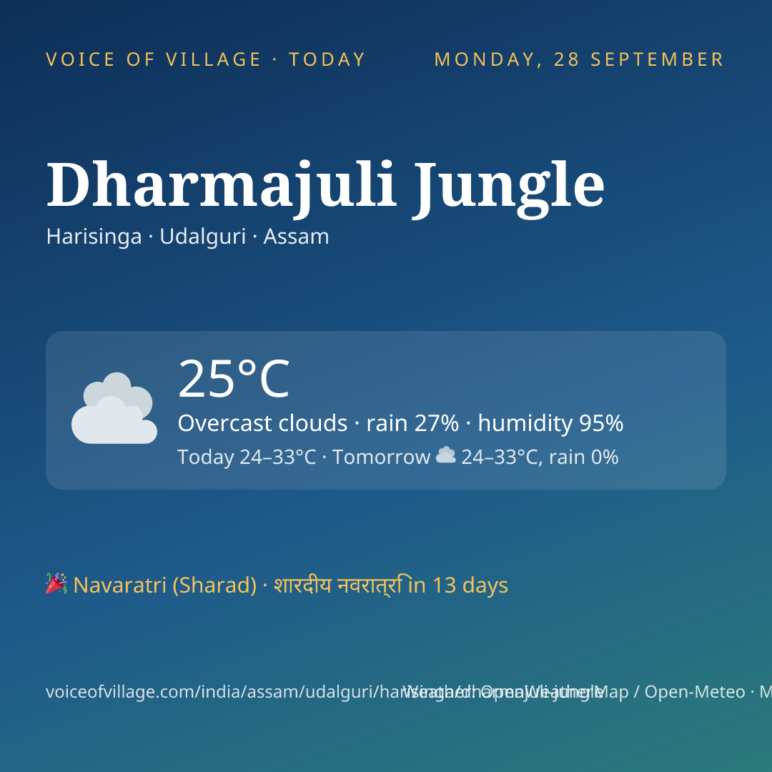 Dharmajuli Jungle today