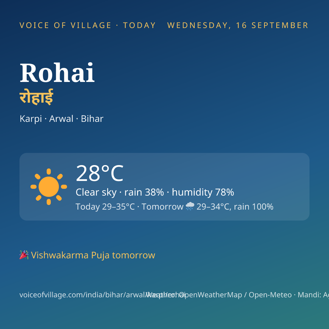 Rohai today