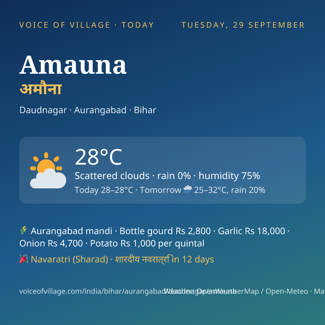 Amauna today