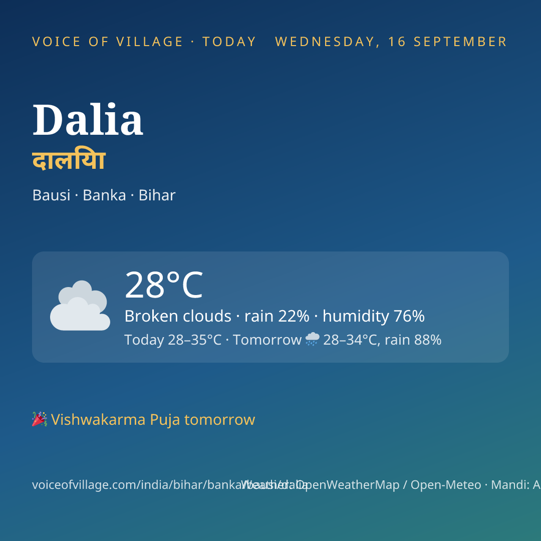Dalia today