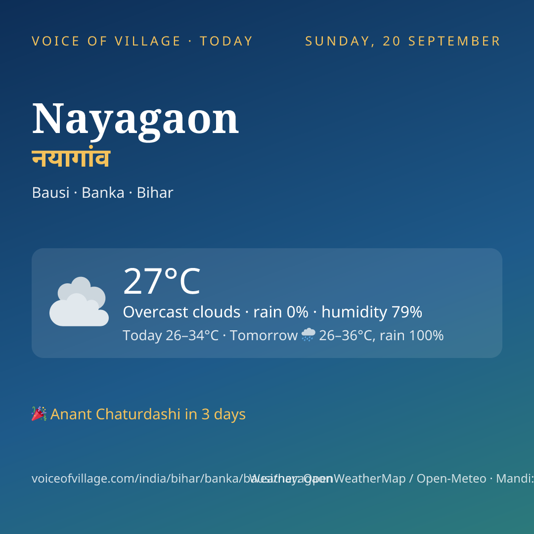 Nayagaon today