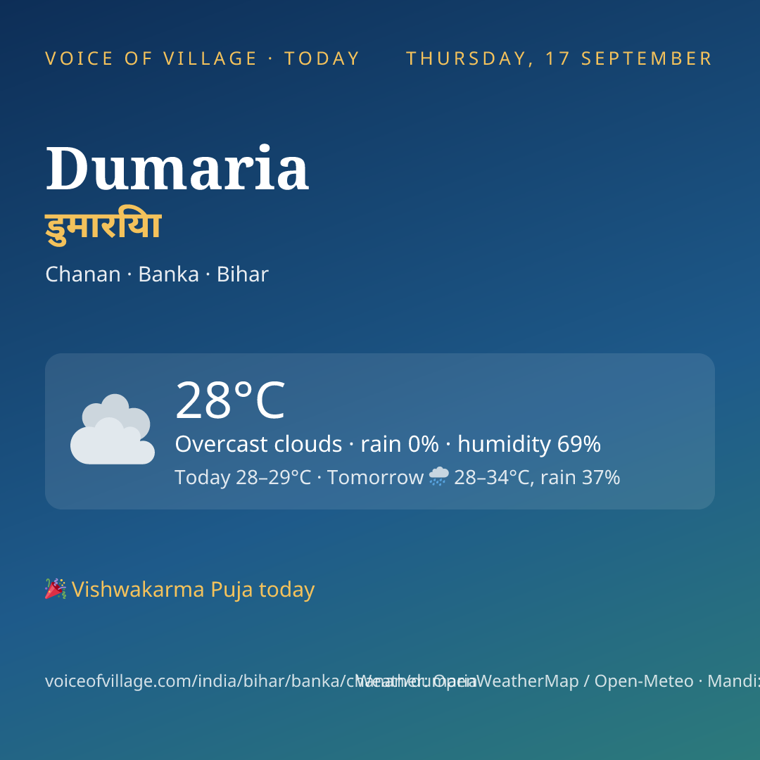 Dumaria today