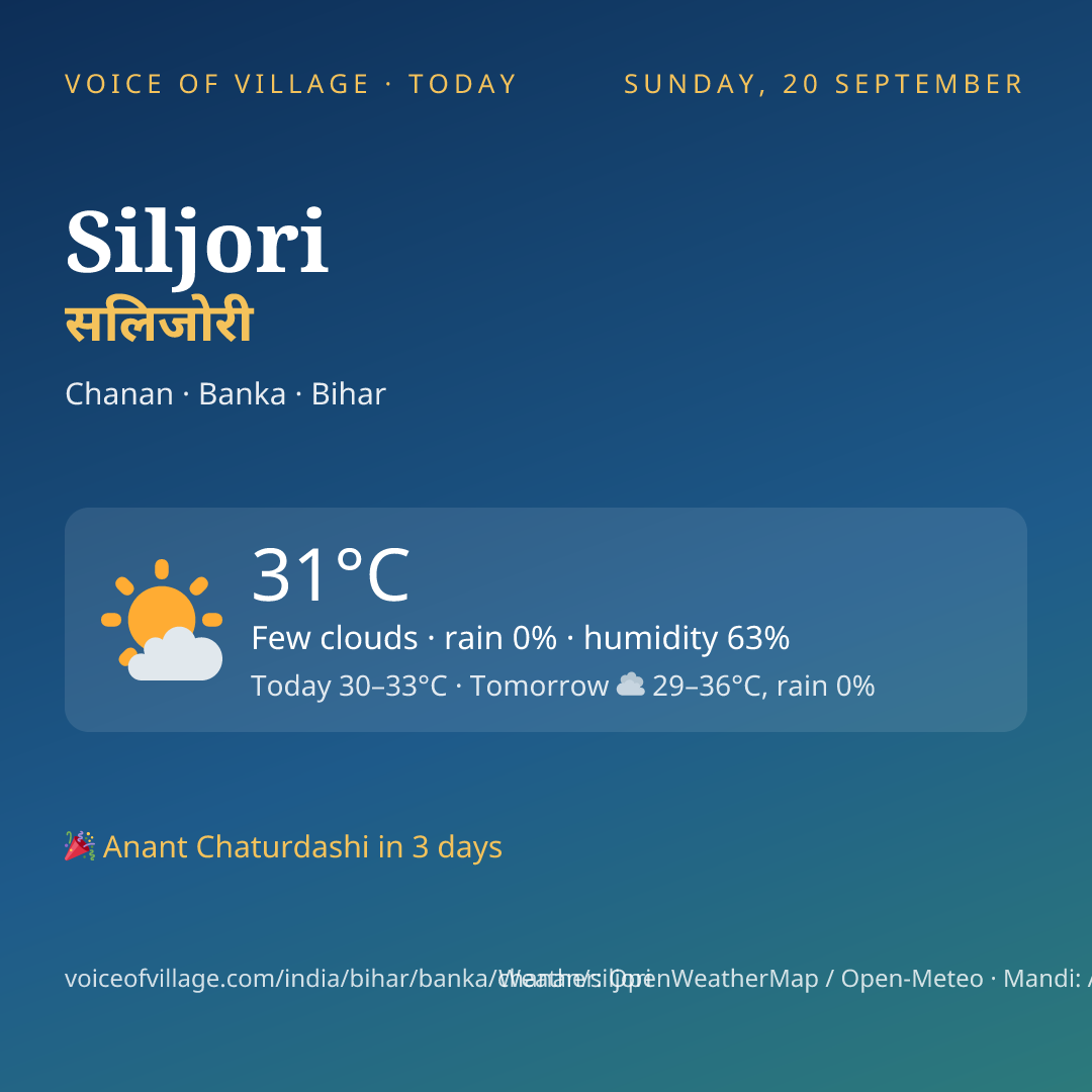 Siljori today