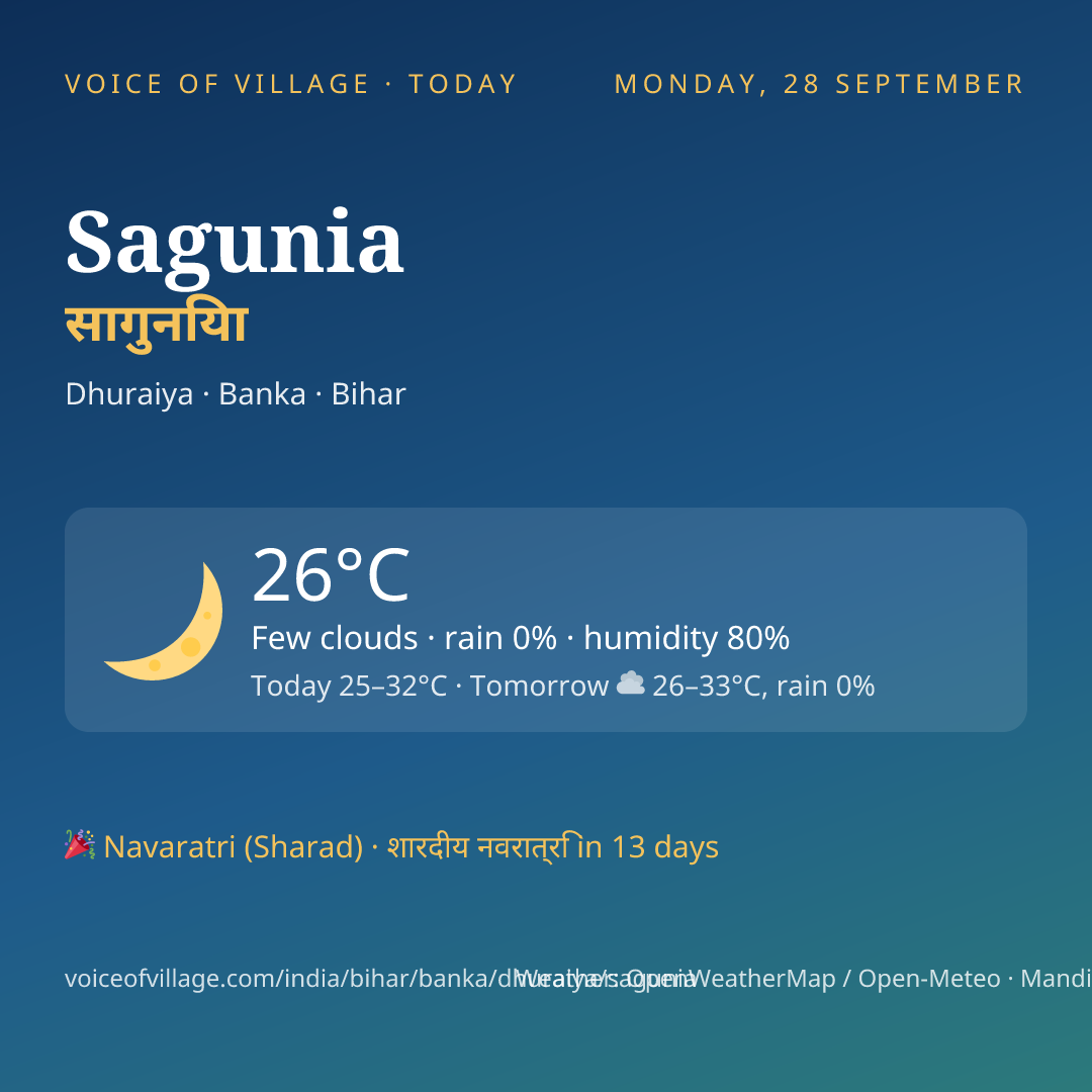Sagunia today
