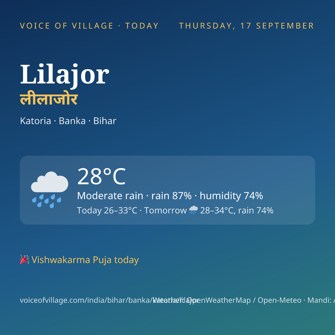 Lilajor today