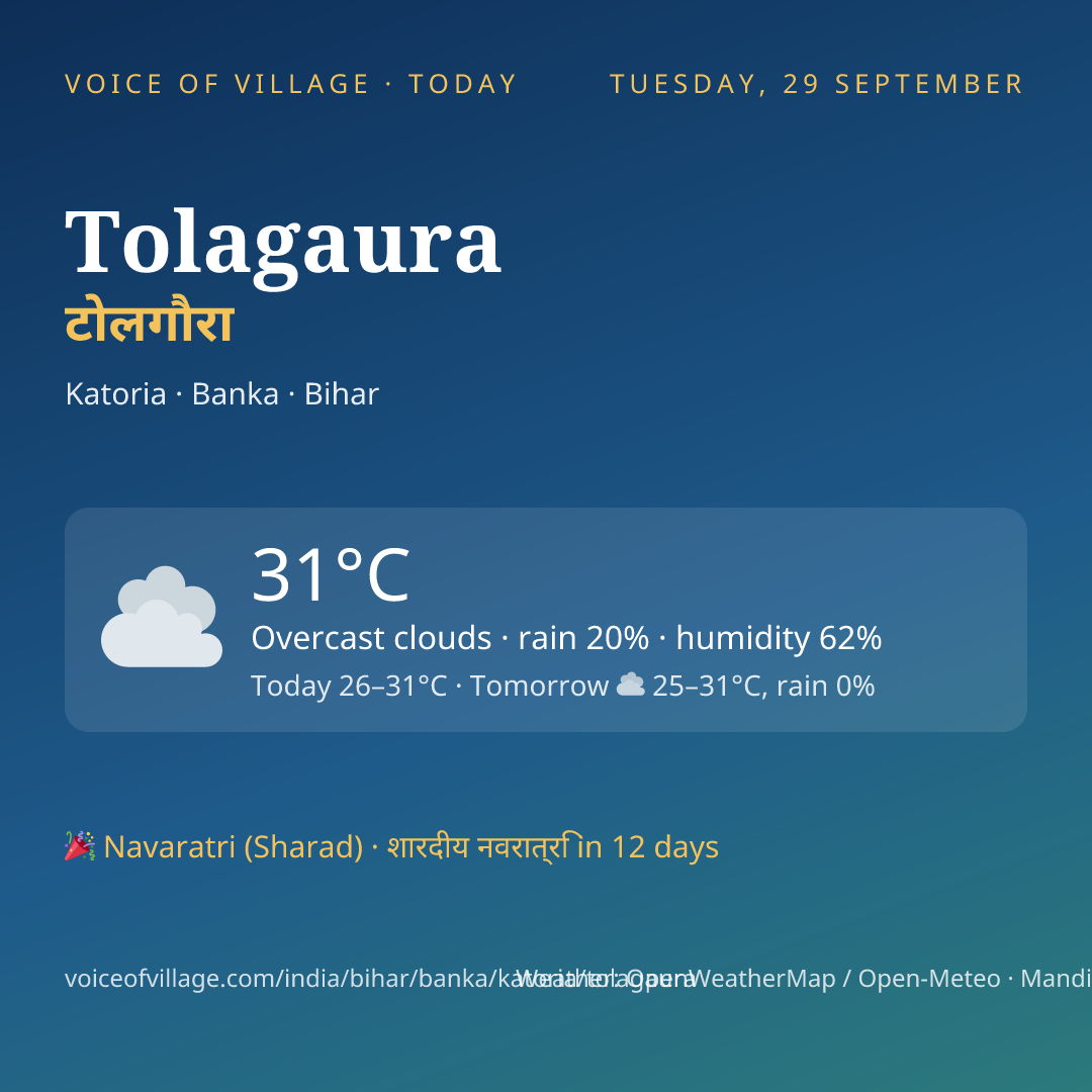 Tolagaura today