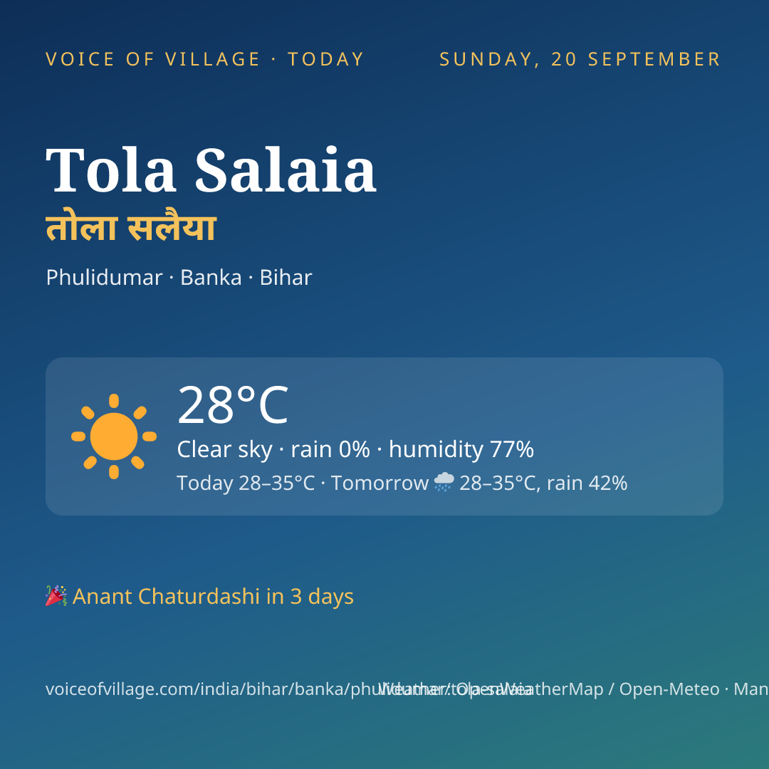 Tola Salaia today