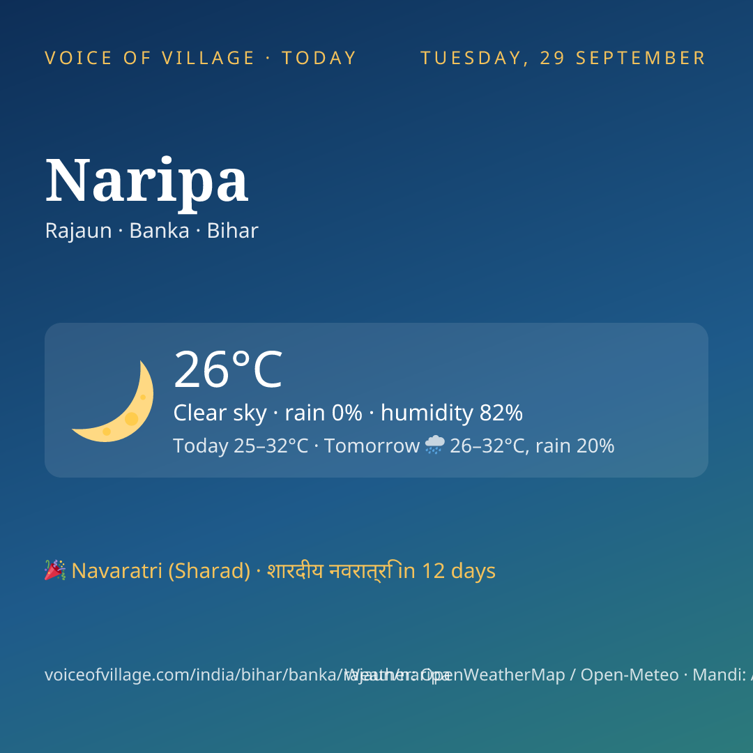 Naripa today