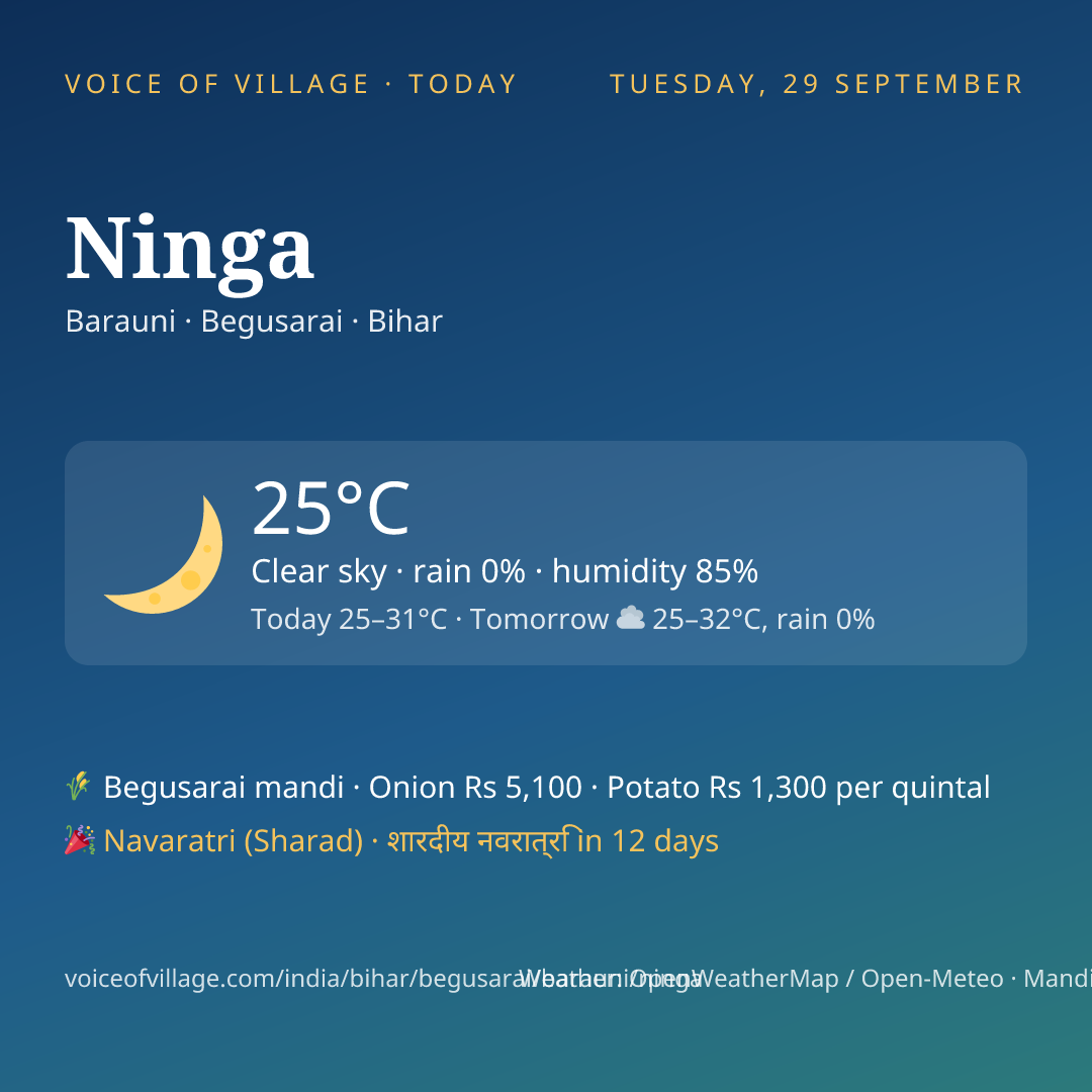 Ninga today