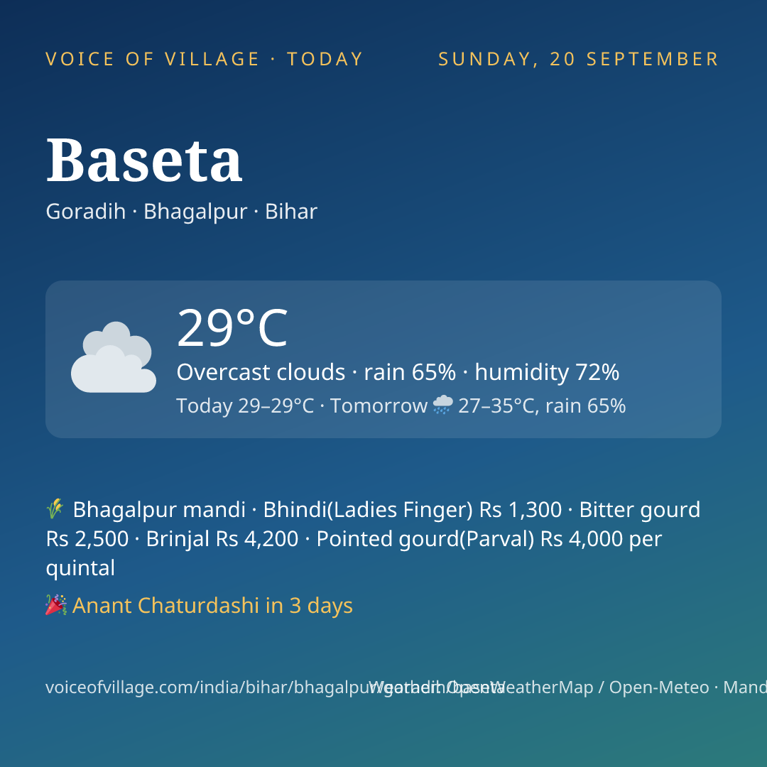 Baseta today