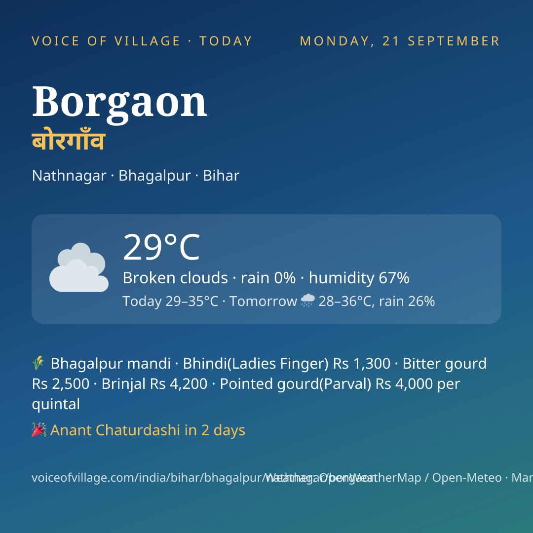 Borgaon today