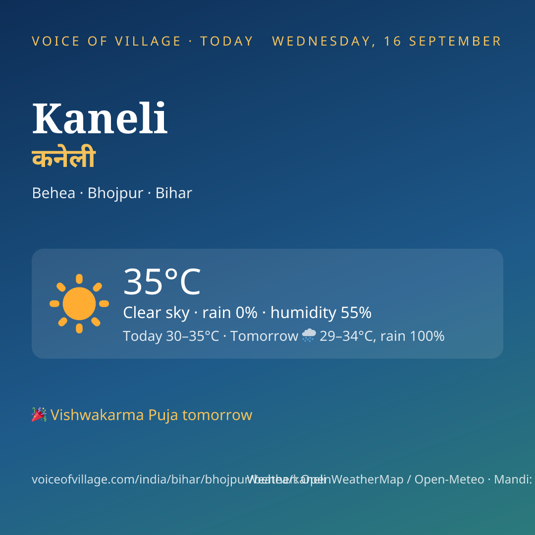 Kaneli today