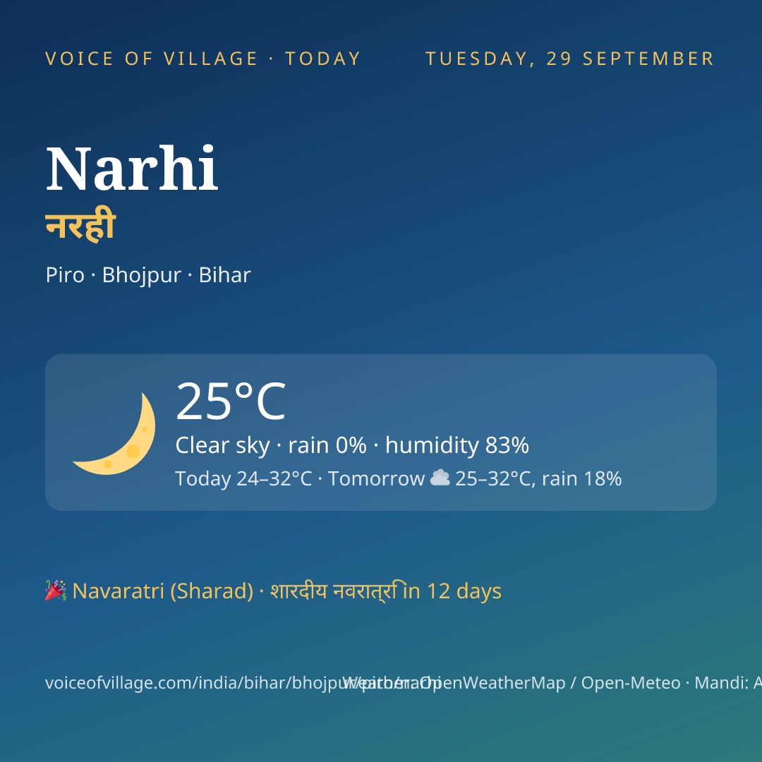 Narhi today