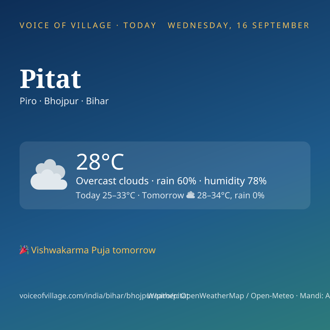 Pitat today