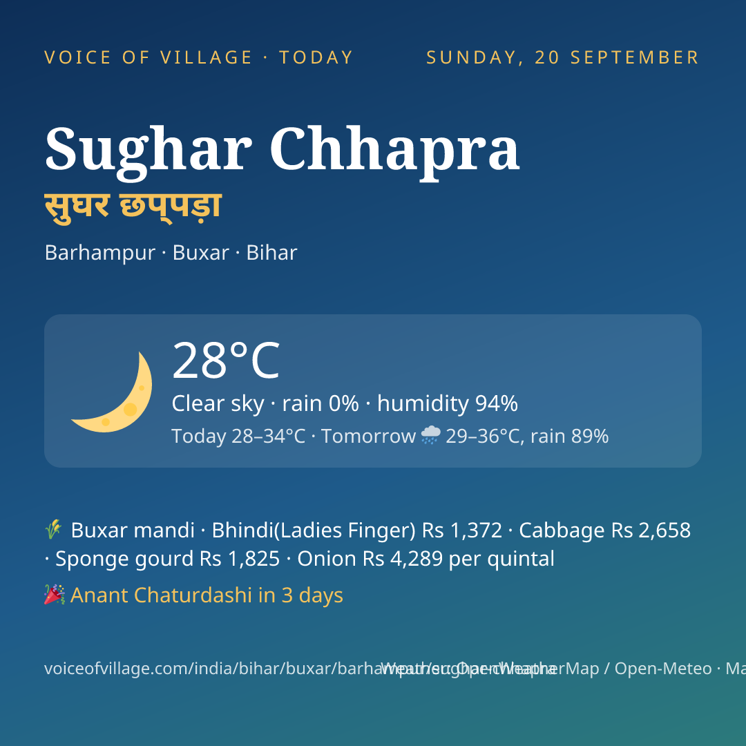 Sughar Chhapra today