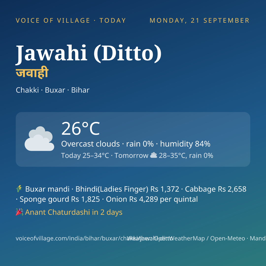 Jawahi (Ditto) today