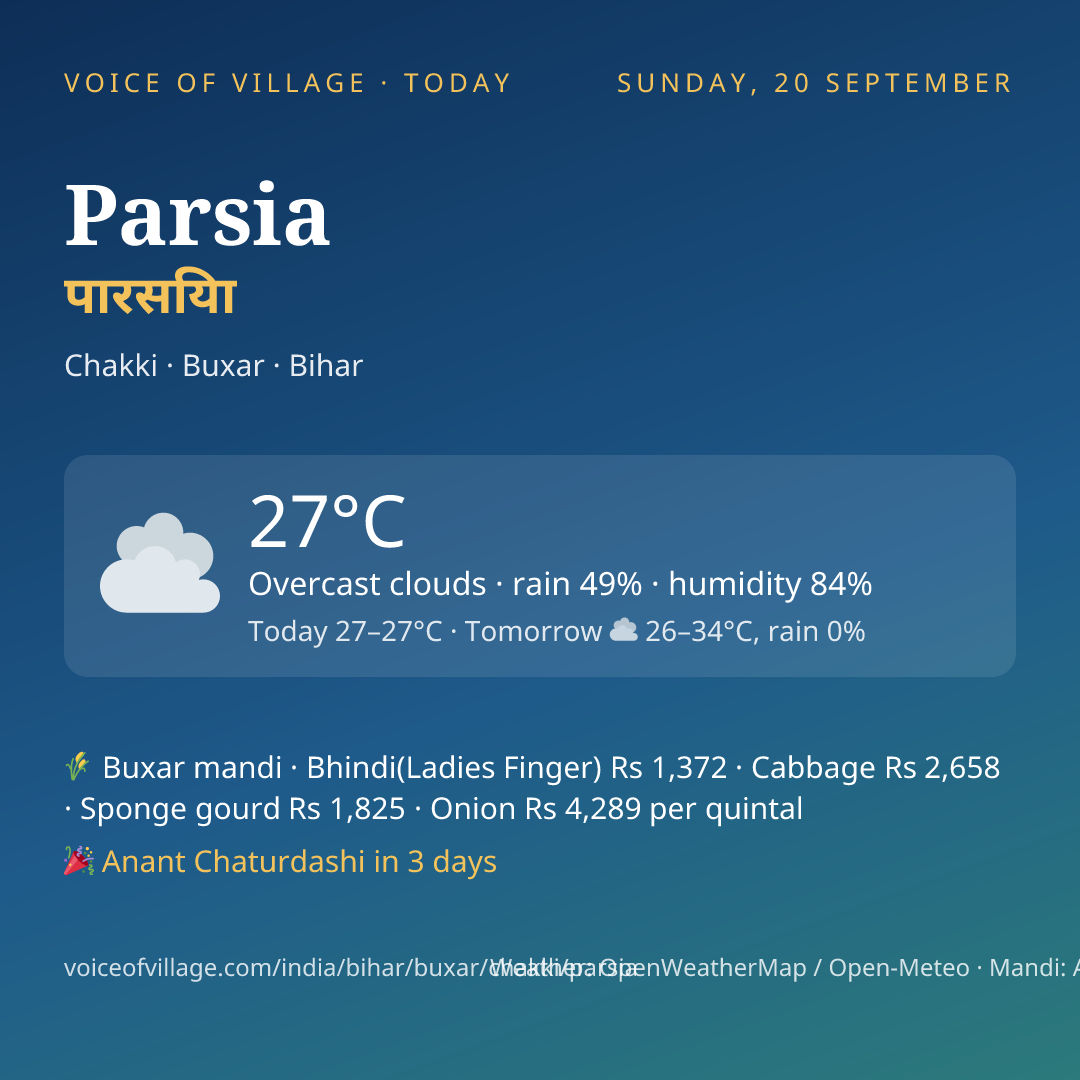 Parsia today
