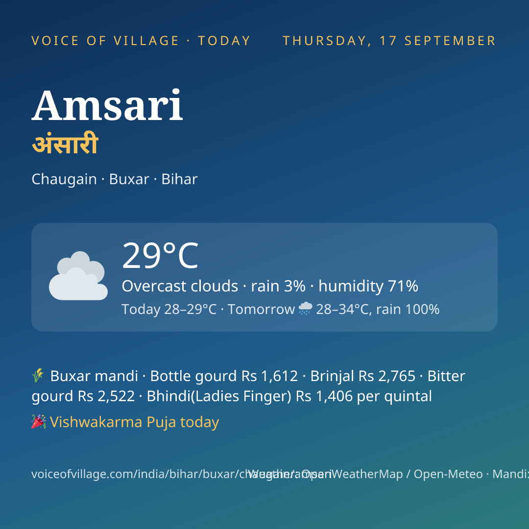 Amsari today