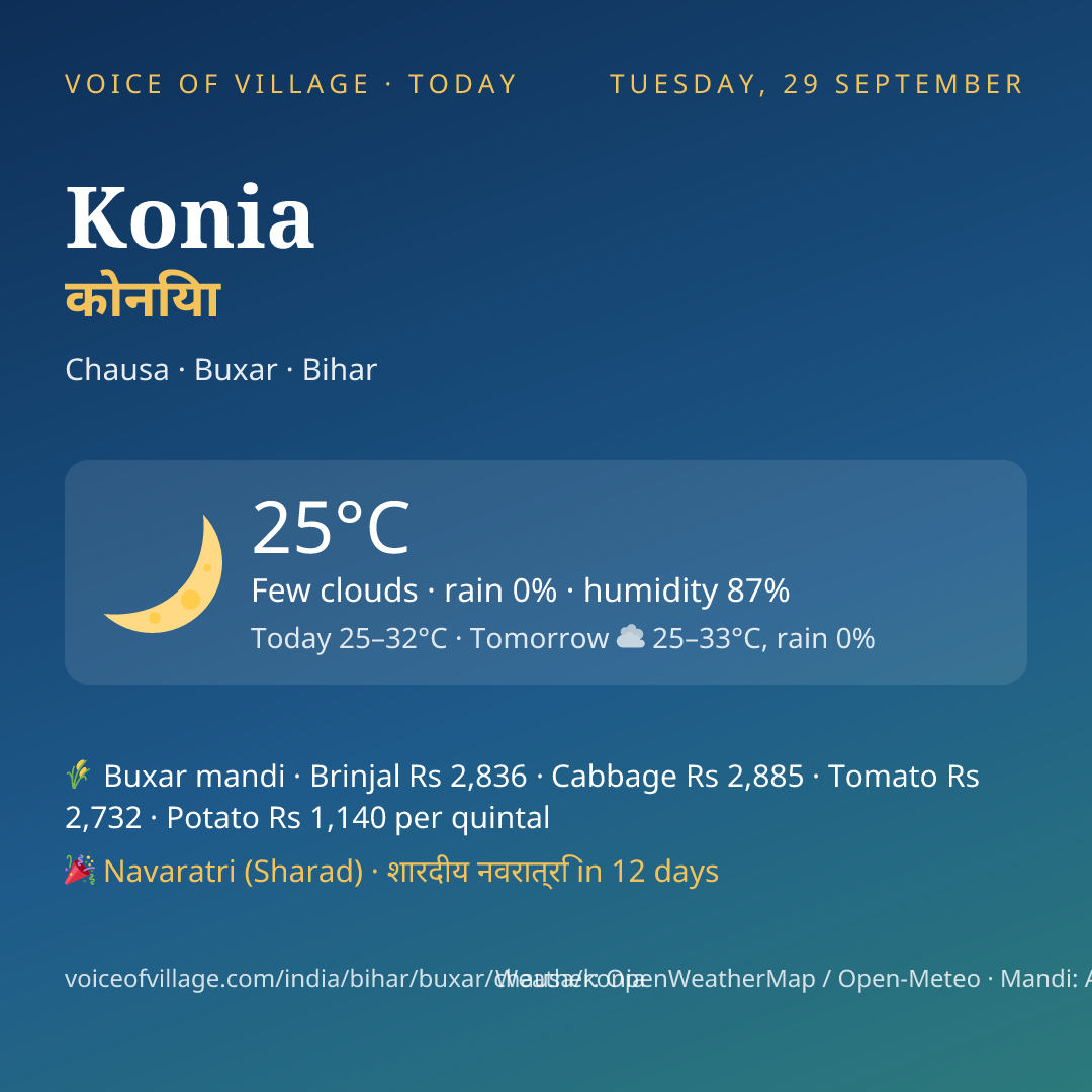 Konia today
