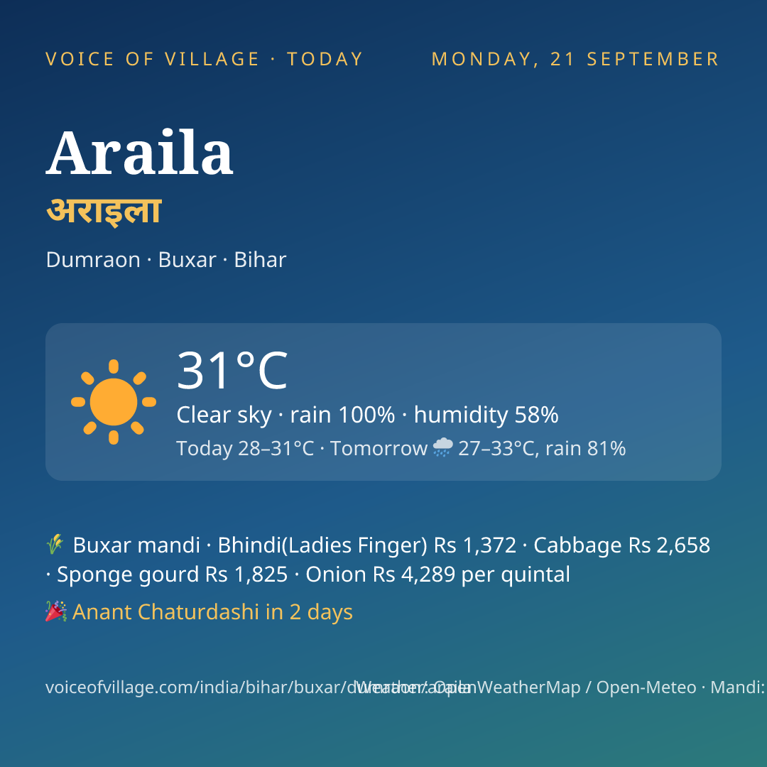 Araila today
