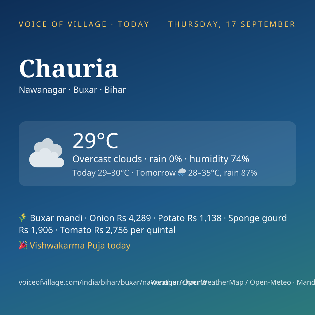 Chauria today