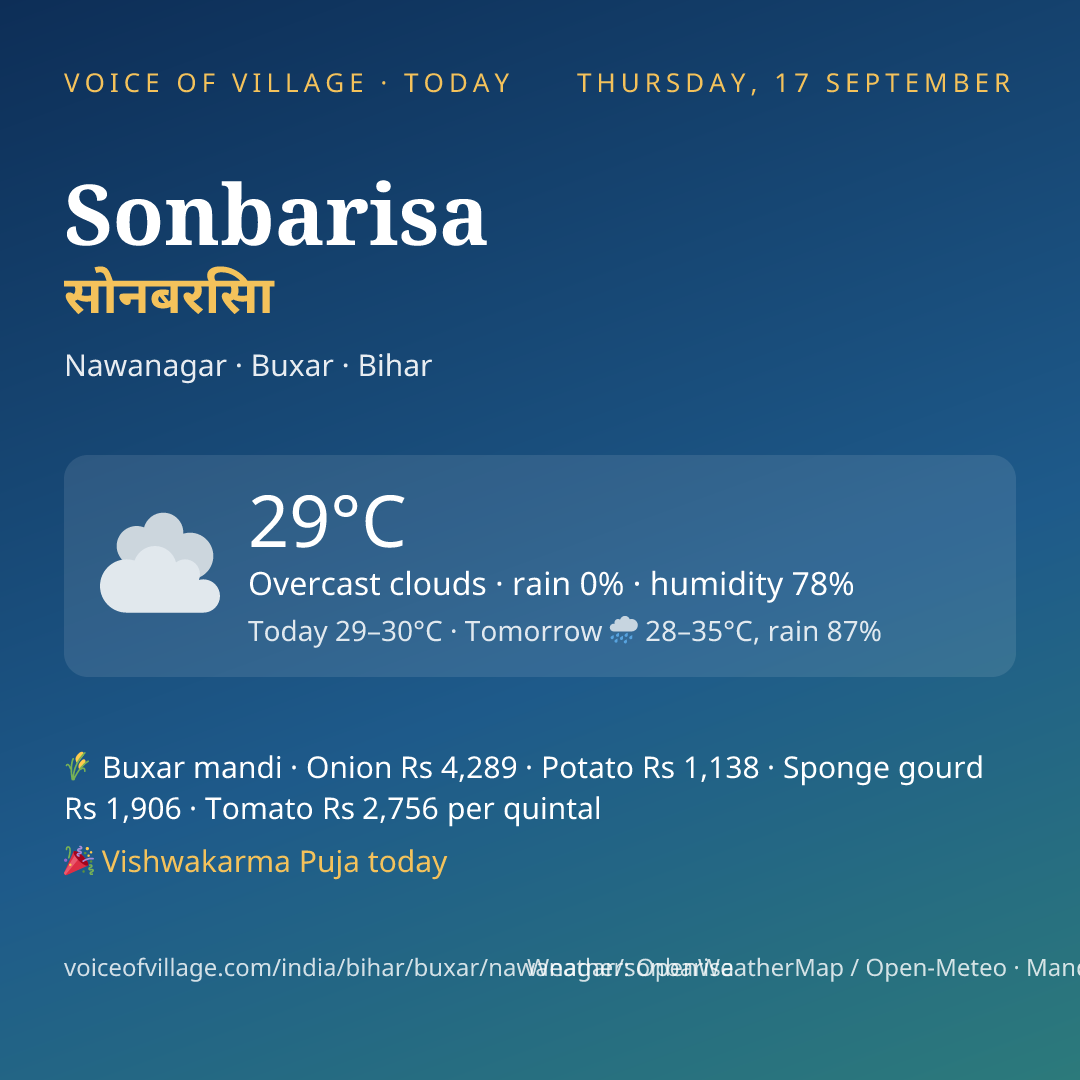 Sonbarisa today