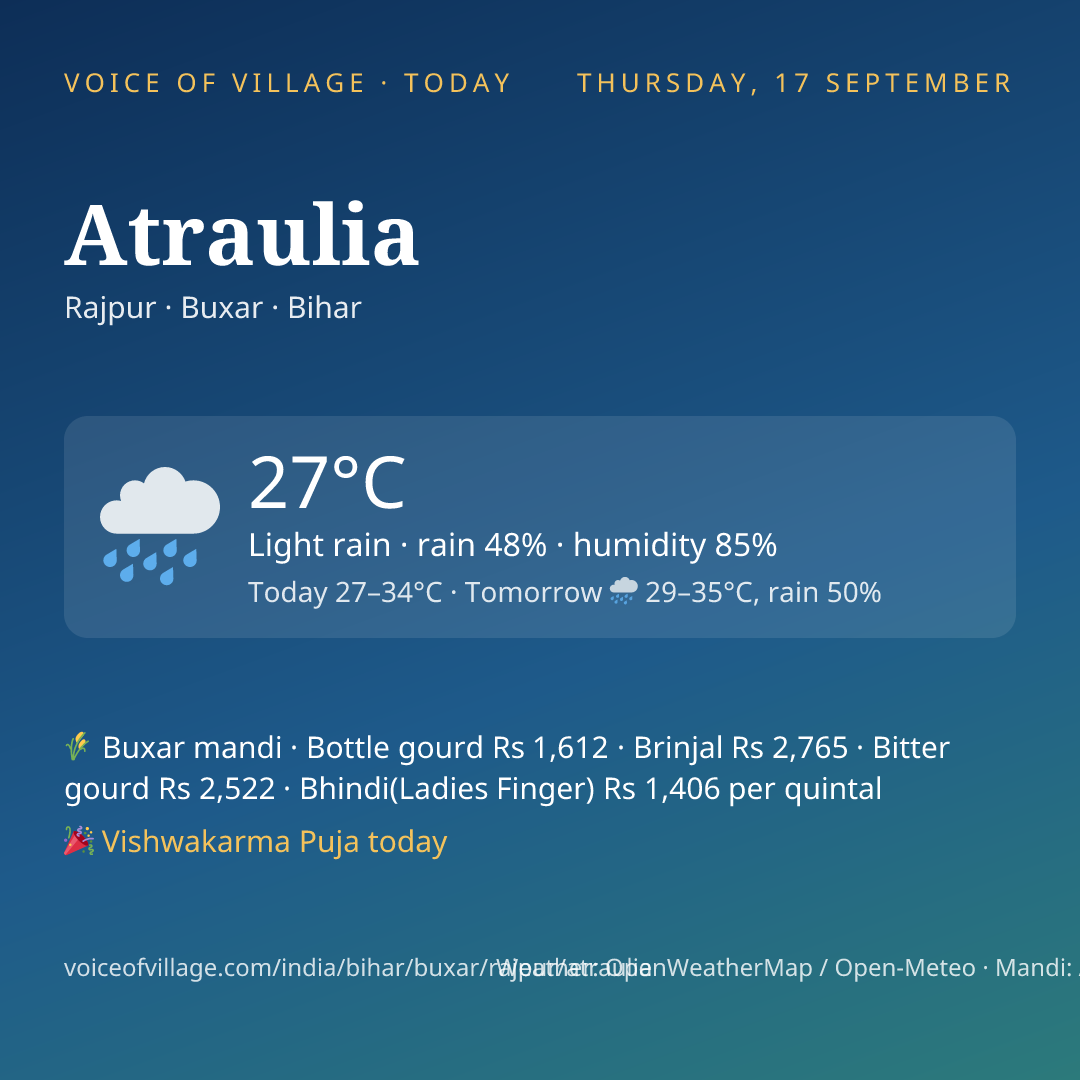 Atraulia today