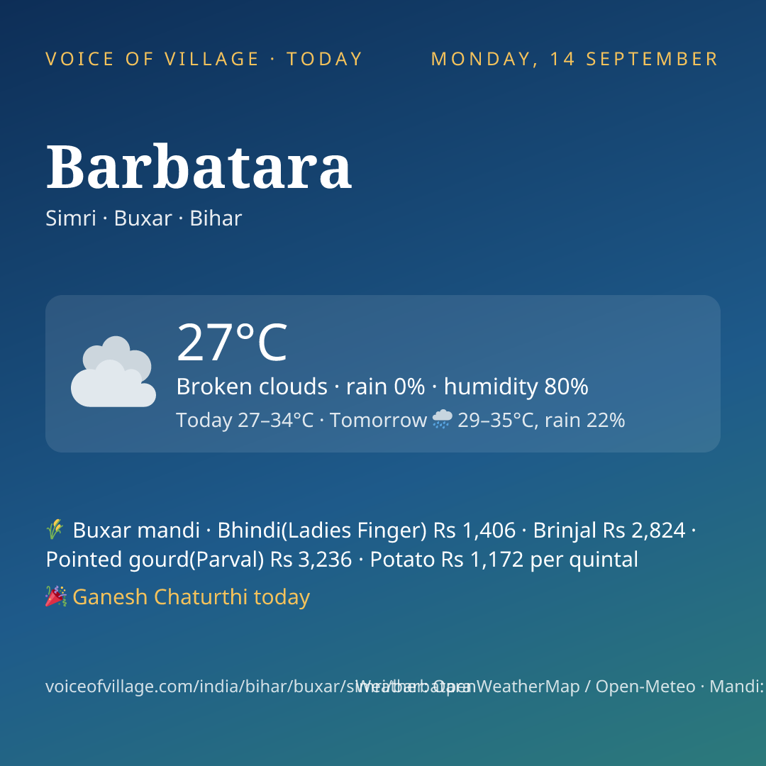 Barbatara today
