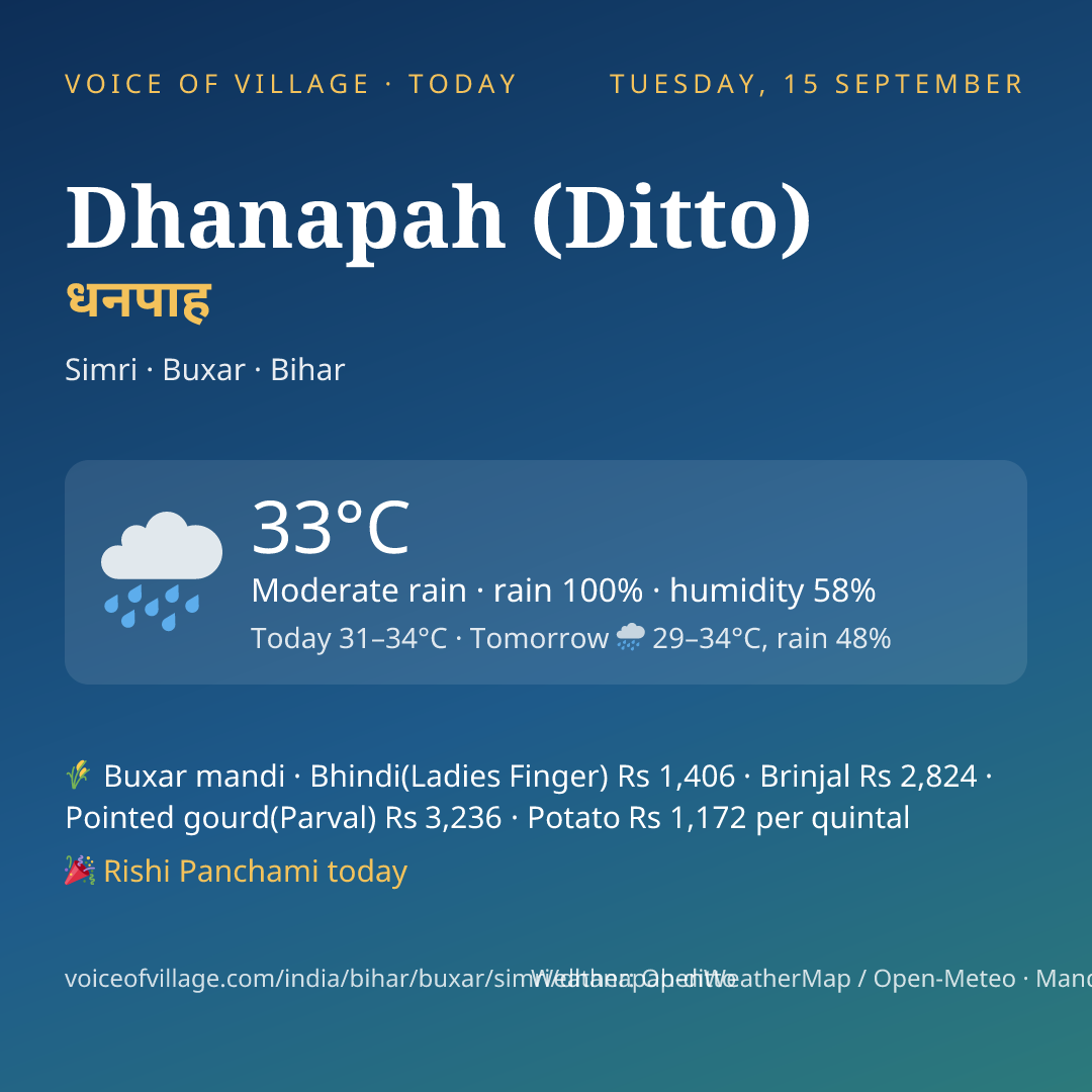 Dhanapah (Ditto) today