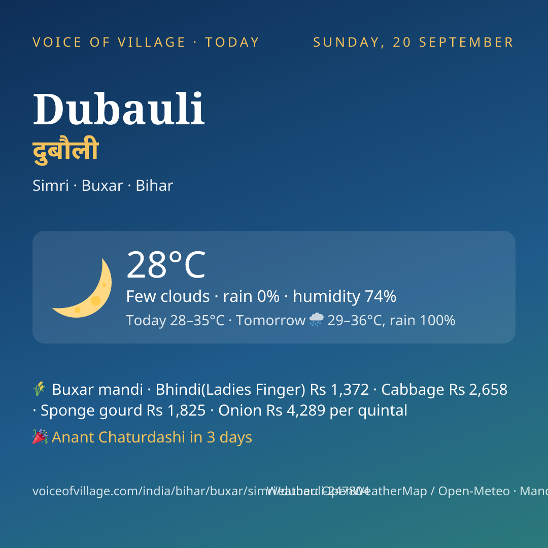 Dubauli today