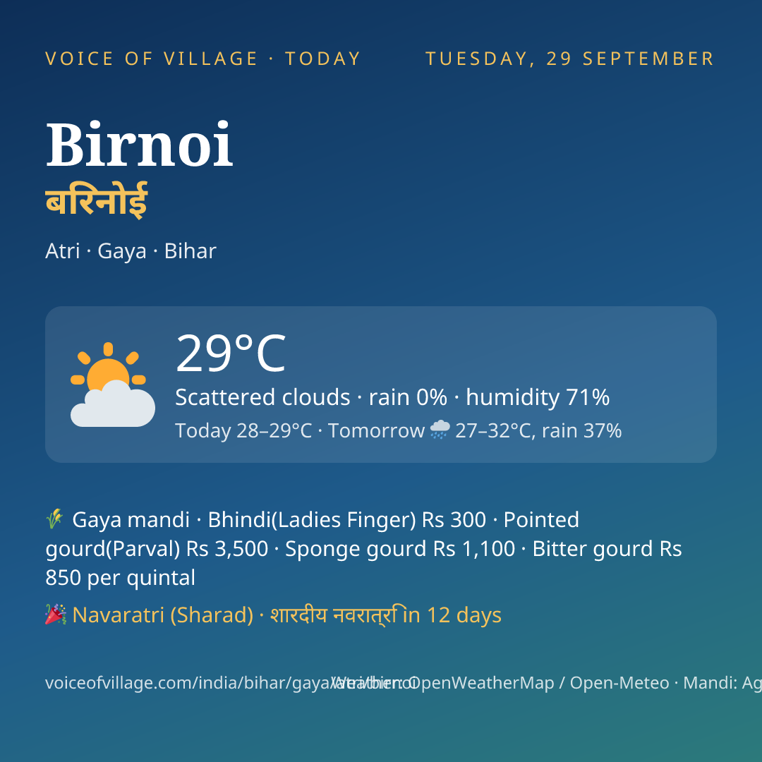 Birnoi today