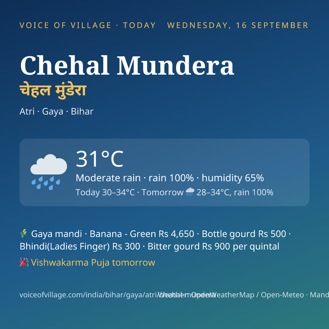 Chehal Mundera today