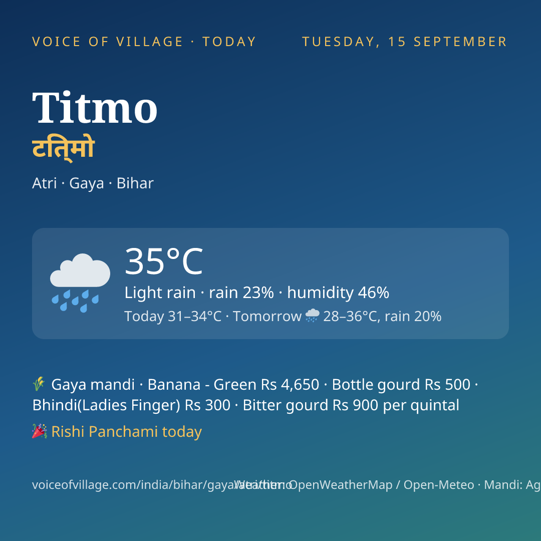 Titmo today