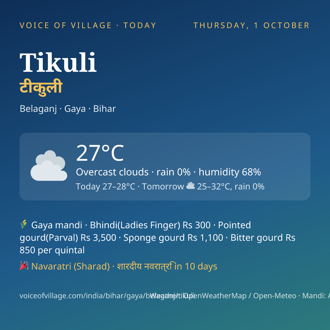 Tikuli today