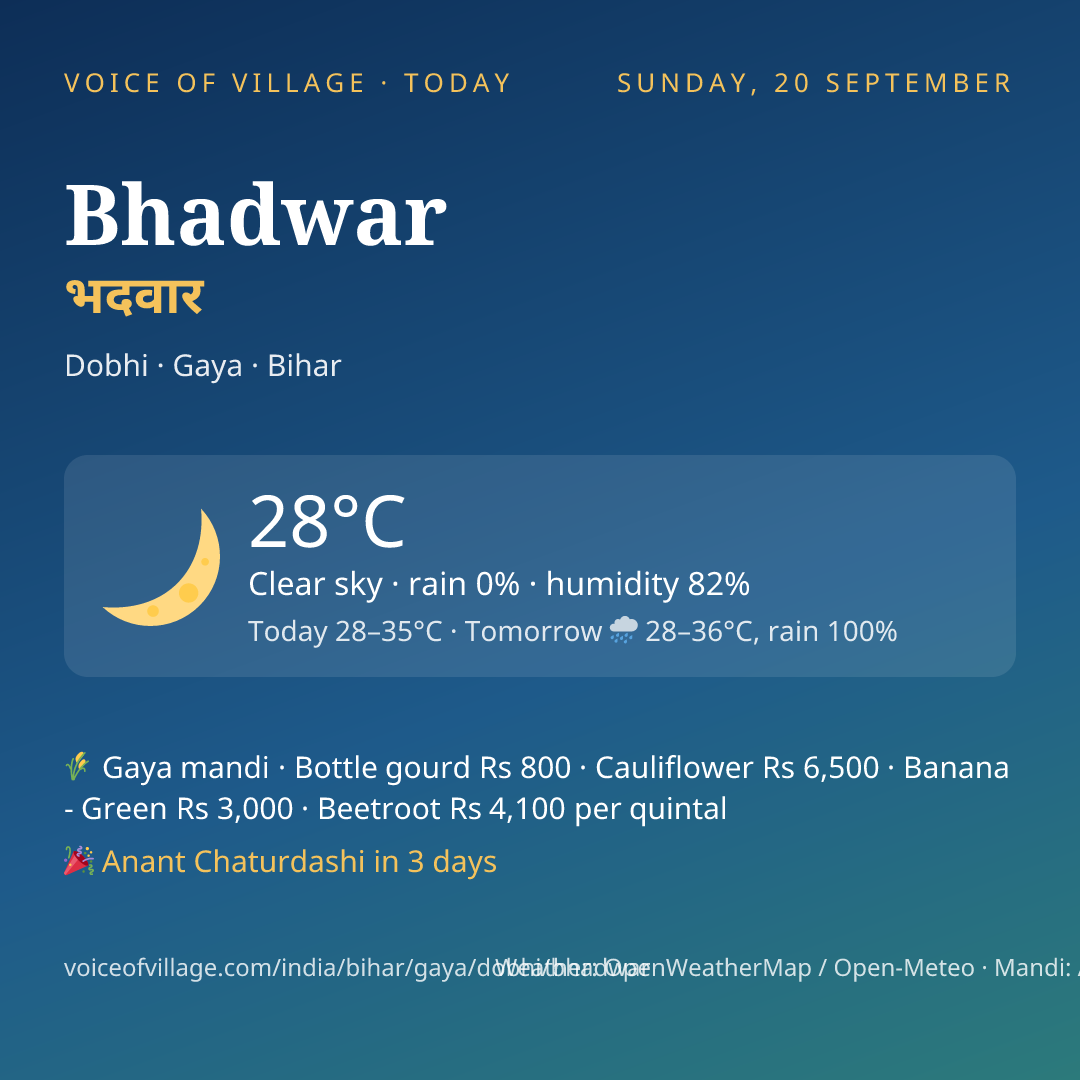 Bhadwar today